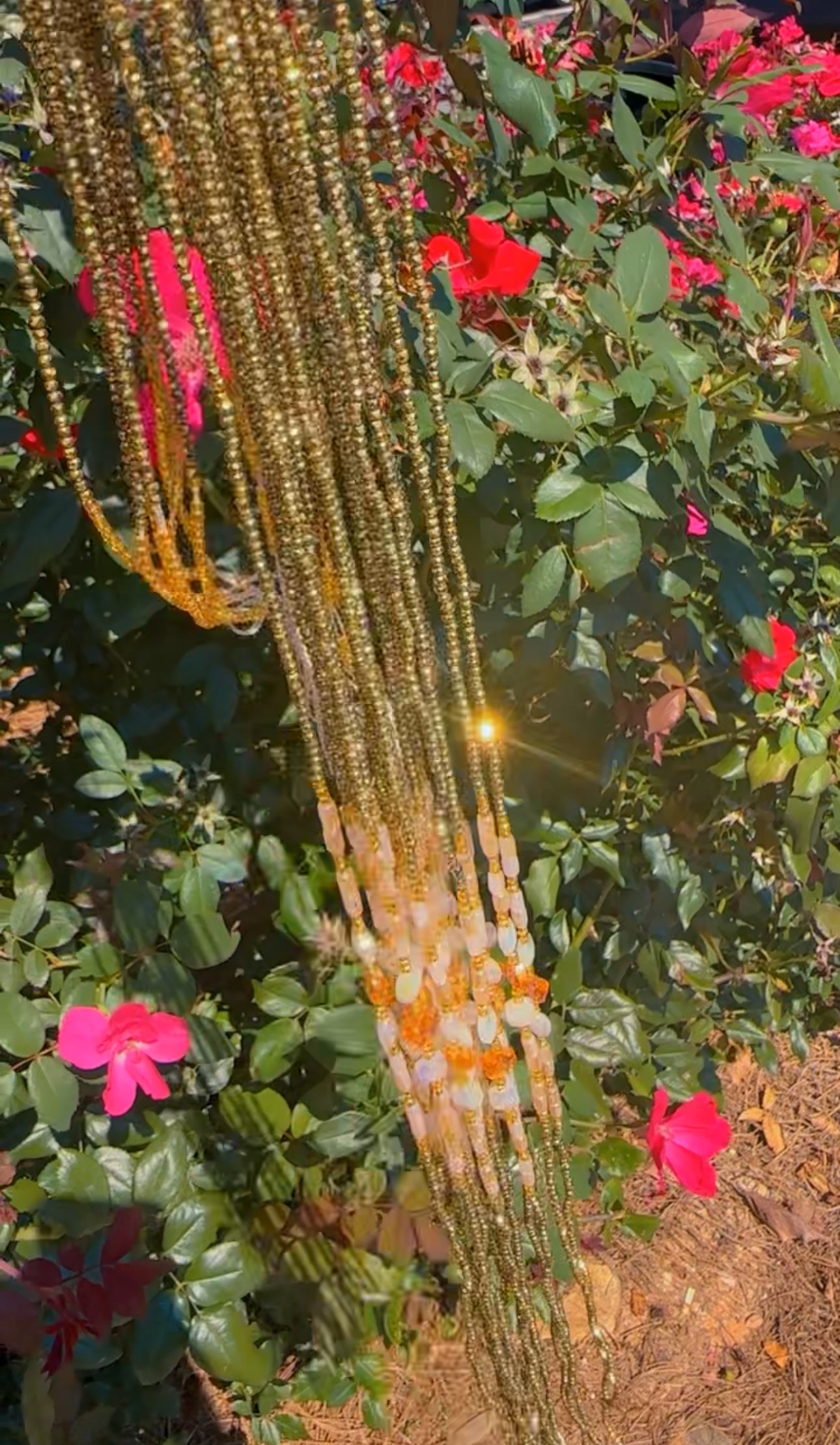 Güüd Püssy Problems